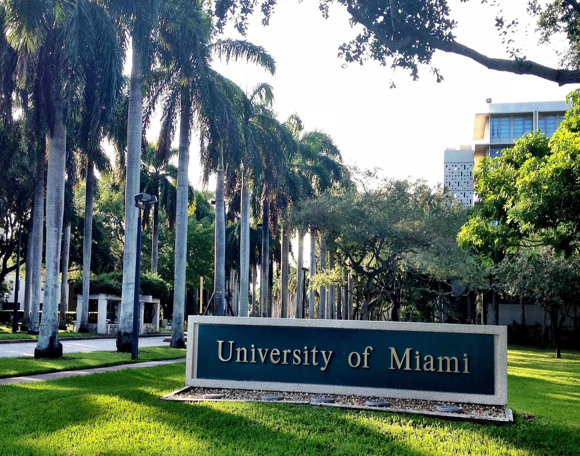 university of miami transfer acceptance rate